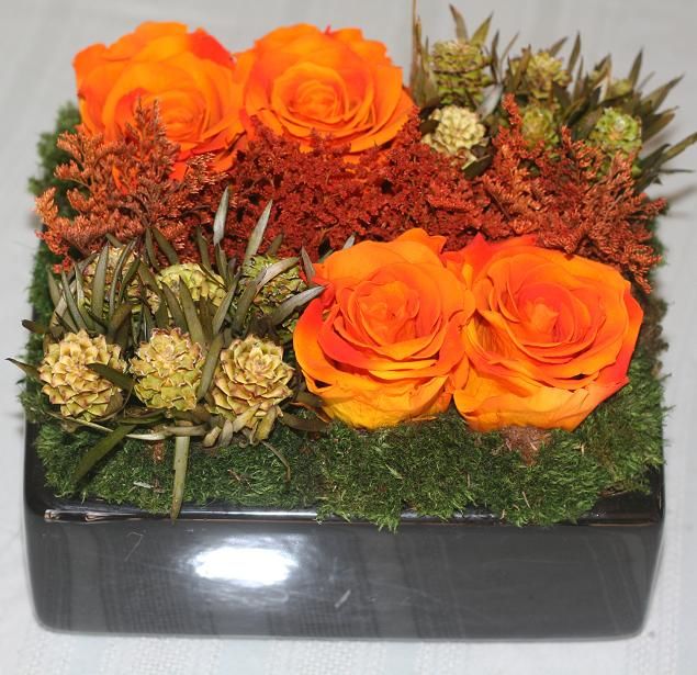 The Diamond Collection - Orange